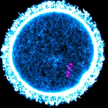 A vibrant blue circle containing blue filaments and a few magenta points within it.